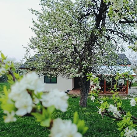 Къща За Гости Софаш Stoevtsi 외부 사진
